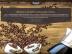 Baladacoffee – čerstvě pražená káva