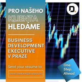 Hledme Business Development Executive